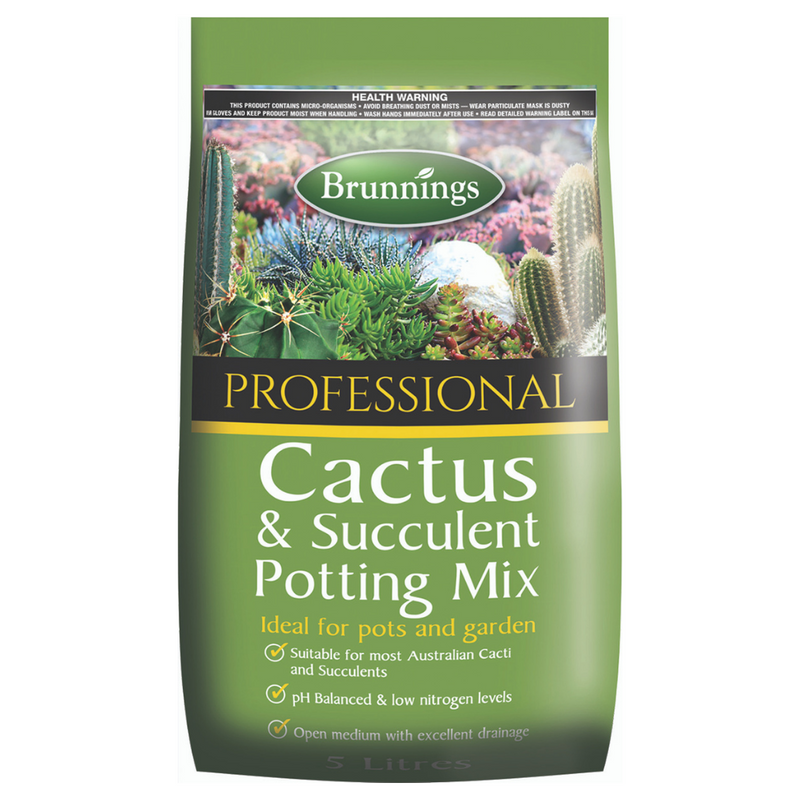 Brunnings Cactus And Succulent Mix