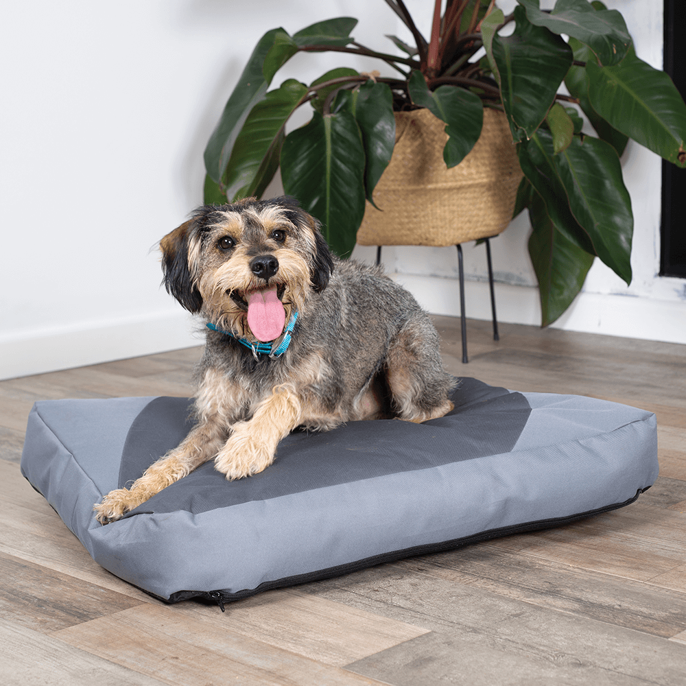 Dog deals bed warehouse