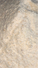 Avigrain Lorikeet Dry Food - Raymonds Warehouse
