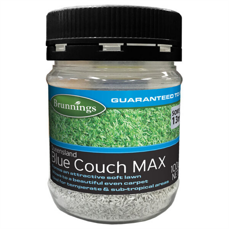 Brunnings Queensland Blue Couch Max Lawn Seed