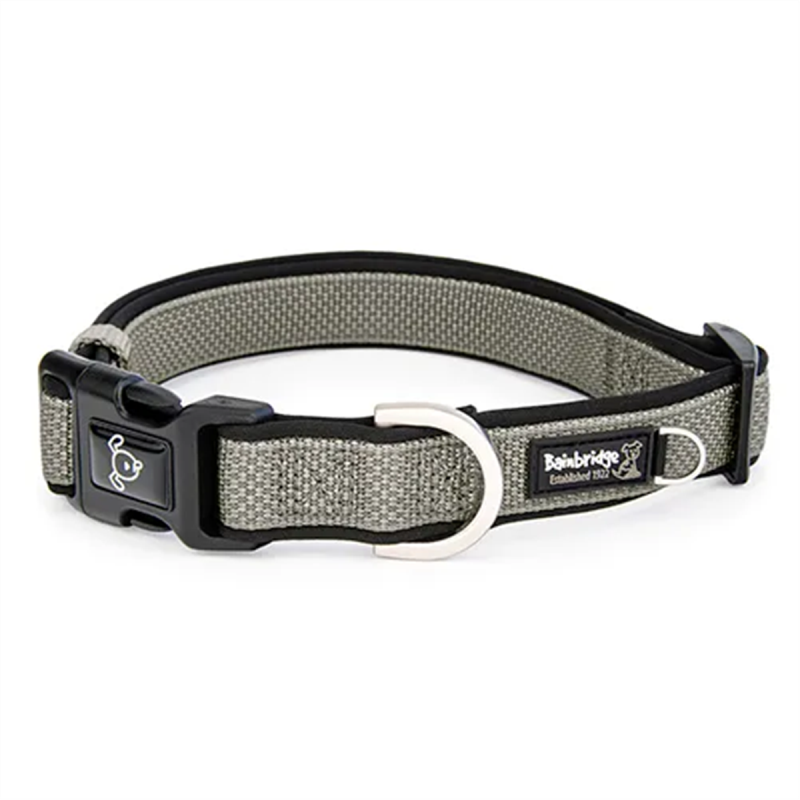 Bainbridge Premium Neoprene Dog Collar Silver