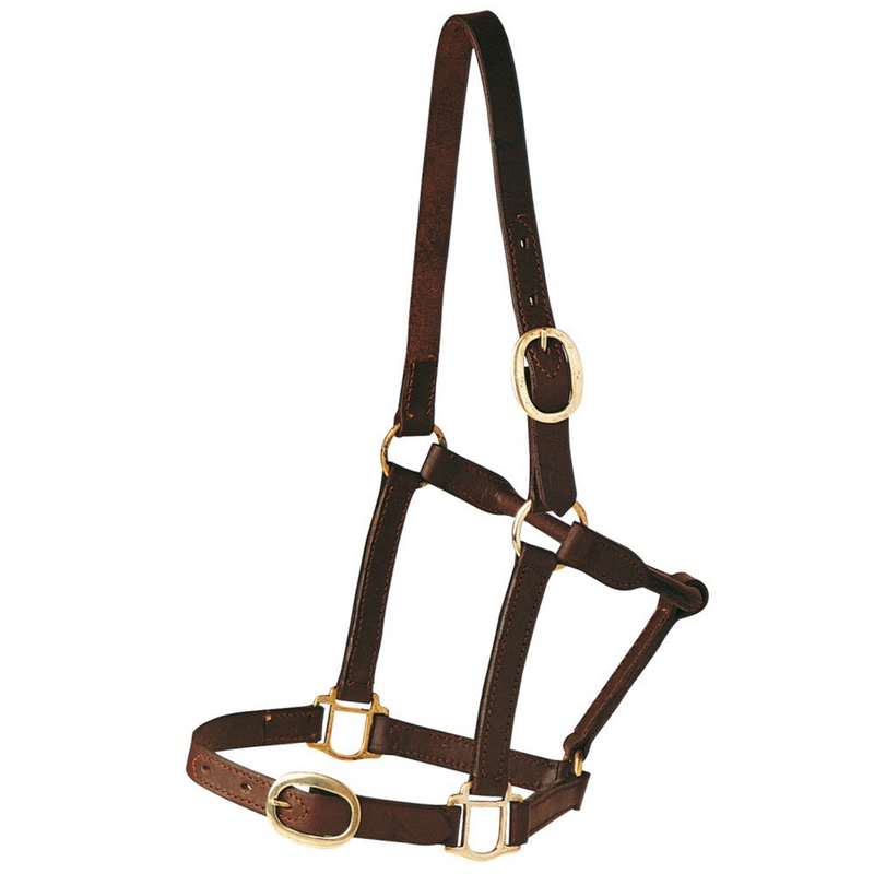 STC Single Ply Leather Halter Brown