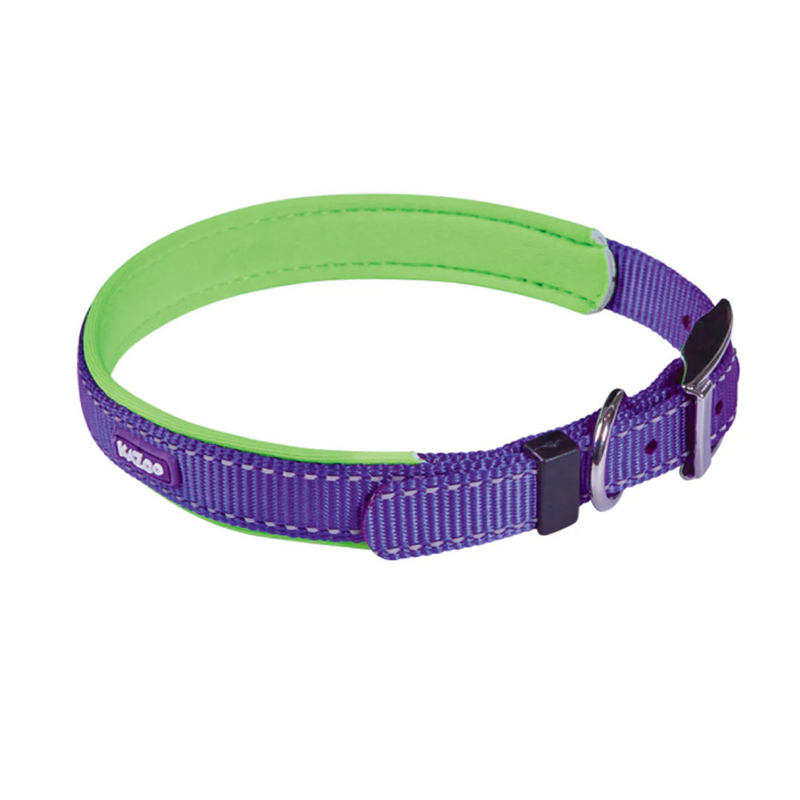 Kazoo Active Dog Collar Purple & Lime