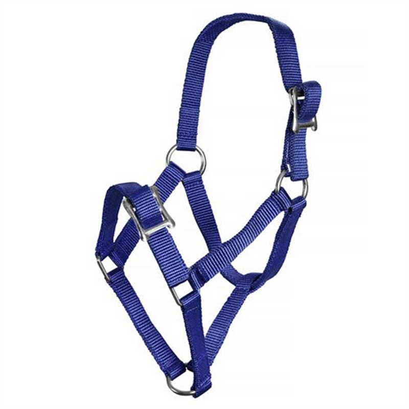 Rancher Roko Foal Halter