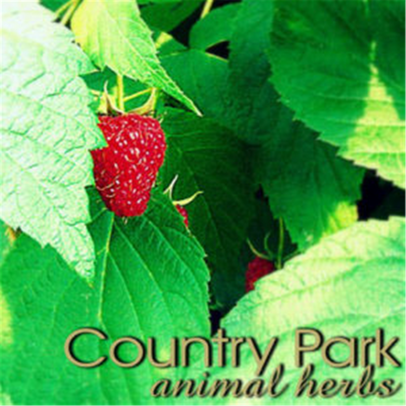 Country Park Raspberry Leaf