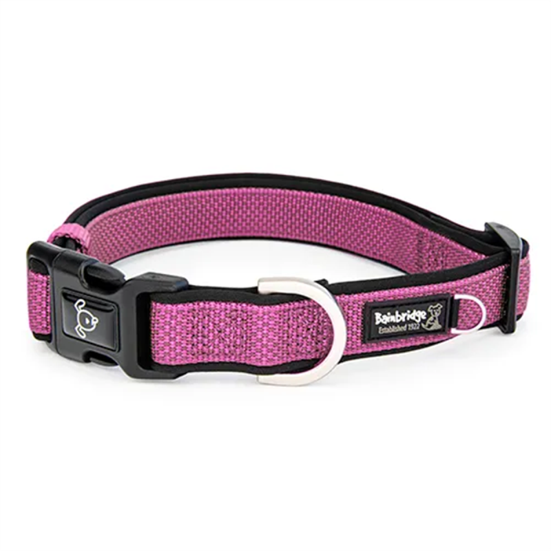 Bainbridge Premium Sport Dog Collar Pink Small