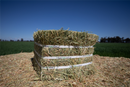 Hay Lucerne Compressed Victoria Bale