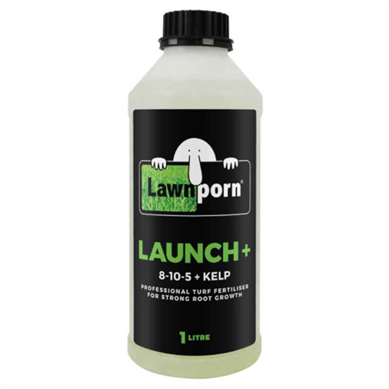 Lawnporn Launch +