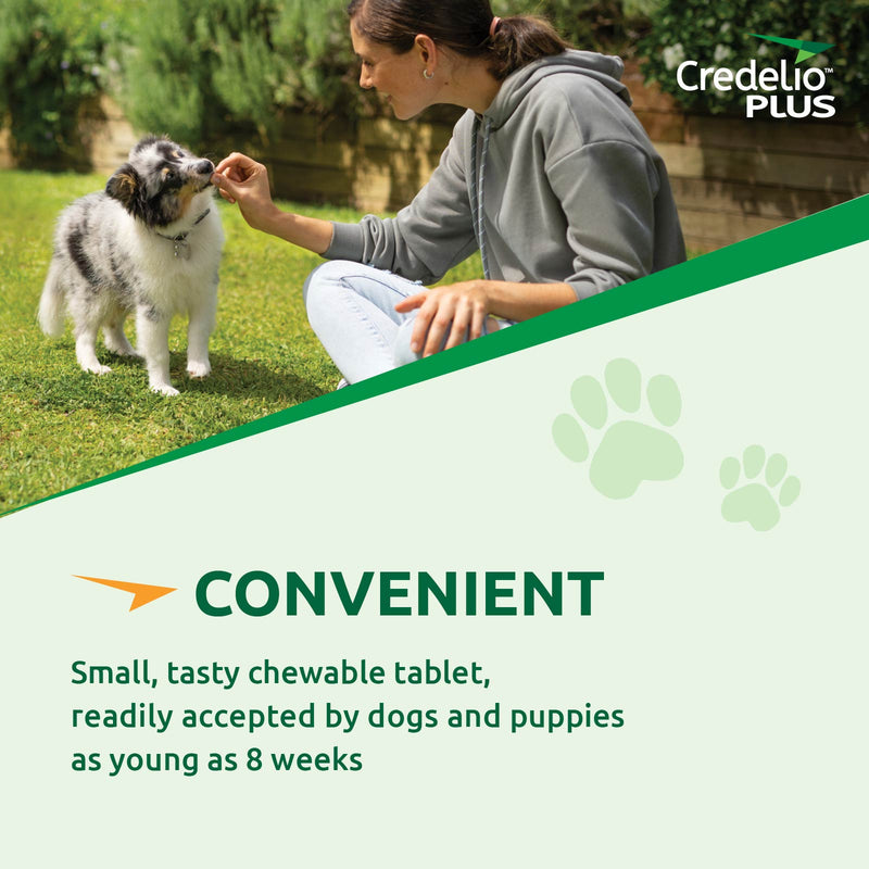 Credelio Plus for Large Dogs (11-22kg)