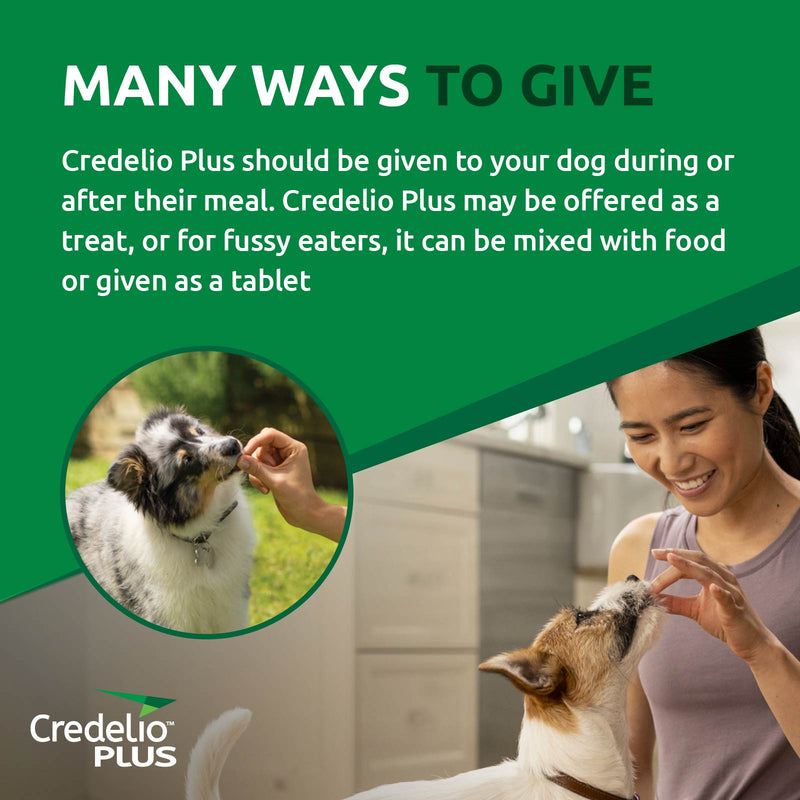Credelio Plus for Large Dogs (11-22kg)