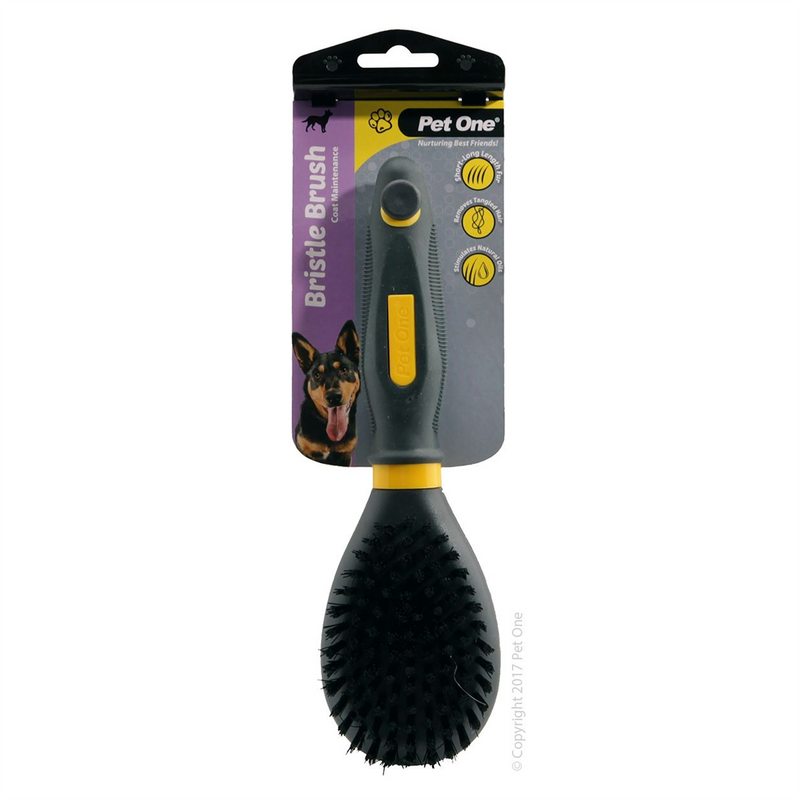 Pet One Bristle Brush for Dogs