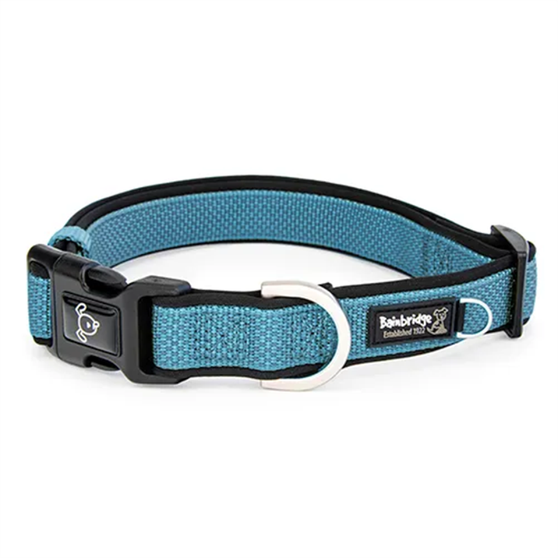 Bainbridge Premium Neoprene Dog Collar Blue Small