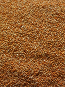 Avigrain Red Panicum 20kg