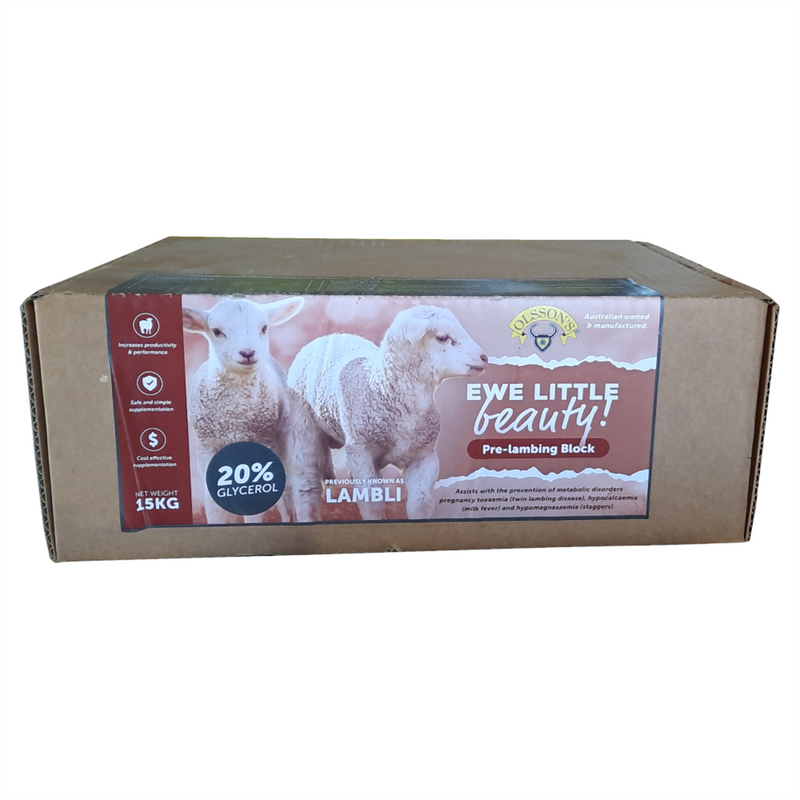 Olssons Ewe Little Beauty Block