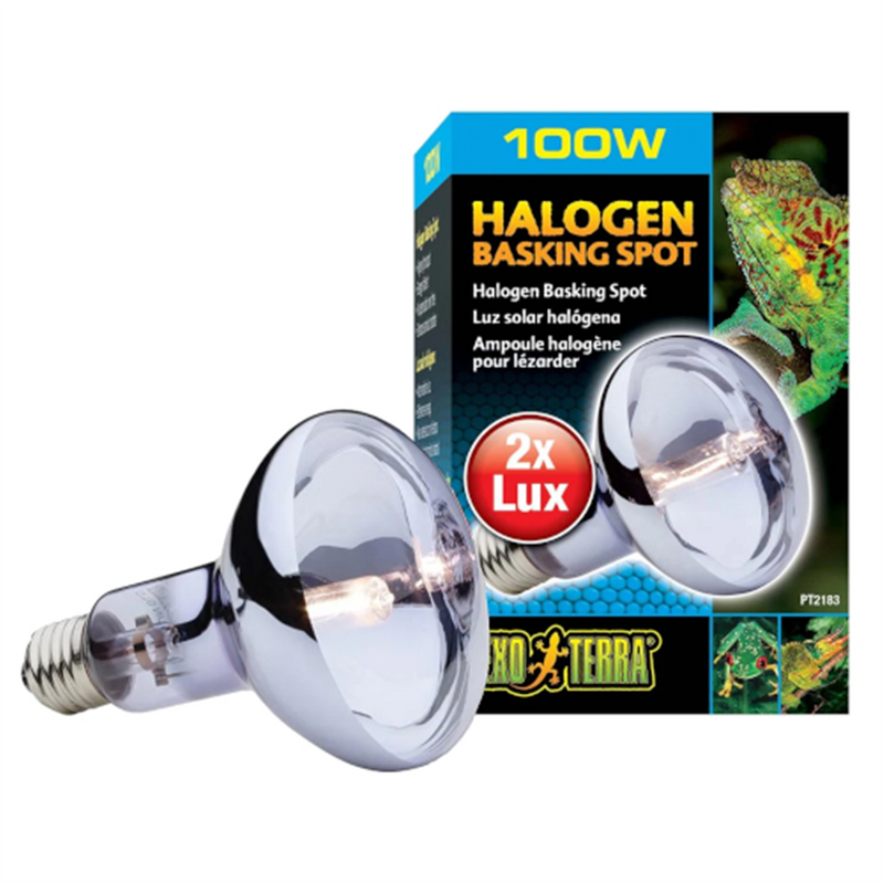 Exo Terra Halogen Basking Lamp