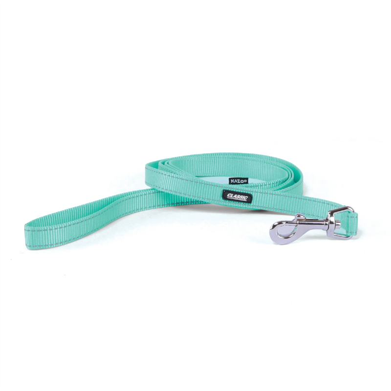 Kazoo Classic Dog Lead Mint Thin 120cm