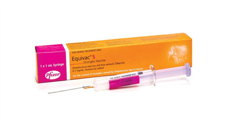 Zoetis Equivac S Syringe 1ml