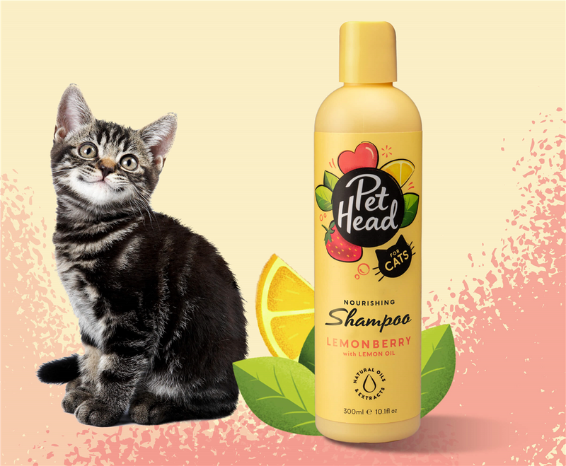 Pet Head Felin' Good Nourishing Cat Shampoo