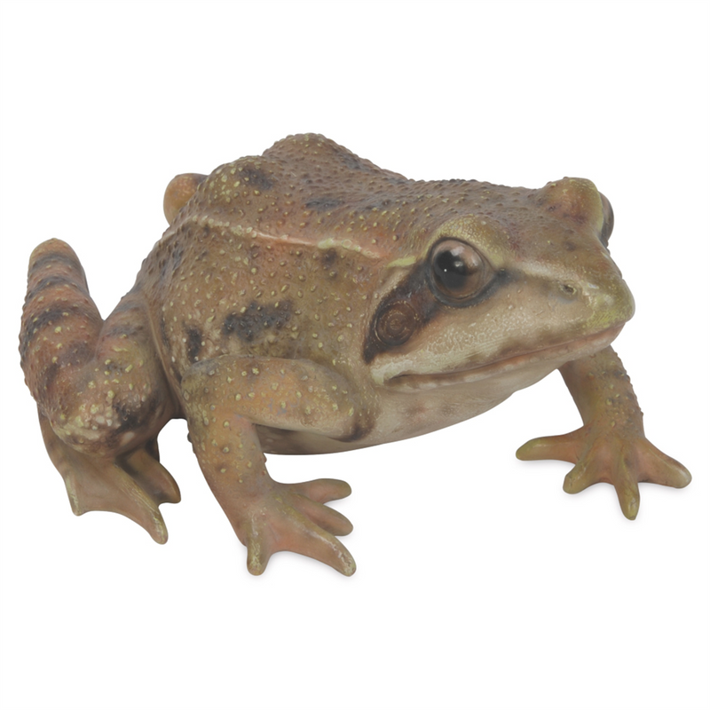 Takasho Brown Frog Figurine Small