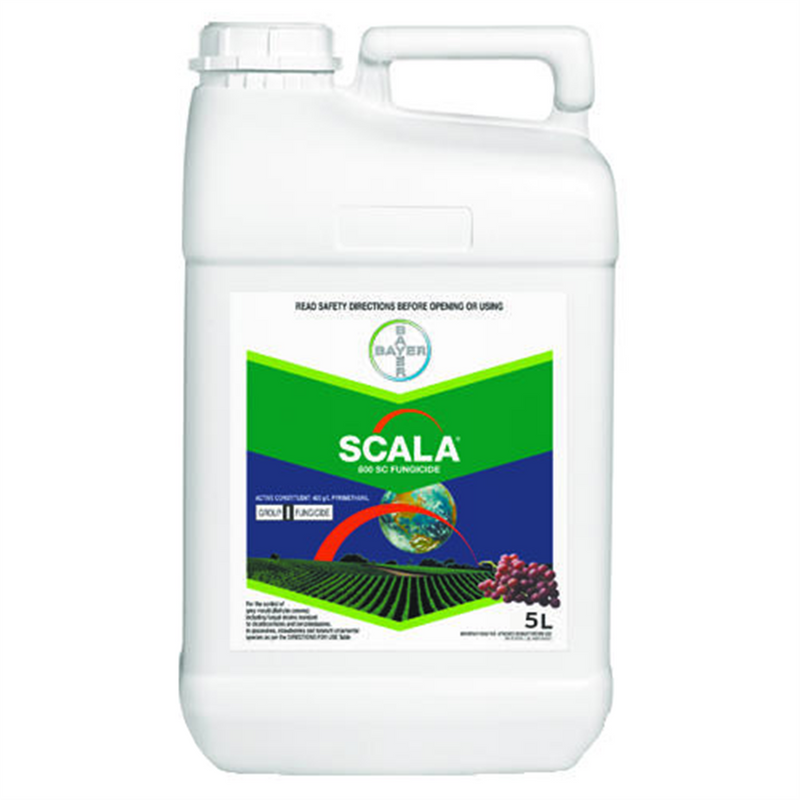 Bayer Scala SC600 Fungicide 5L
