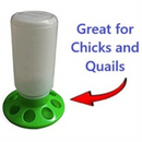 8 Hole Chick Feeder 1kg