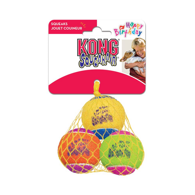 KONG SqueakAir Birthday Ball Dog Toy