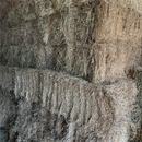 Hay Grassy Rye Bale