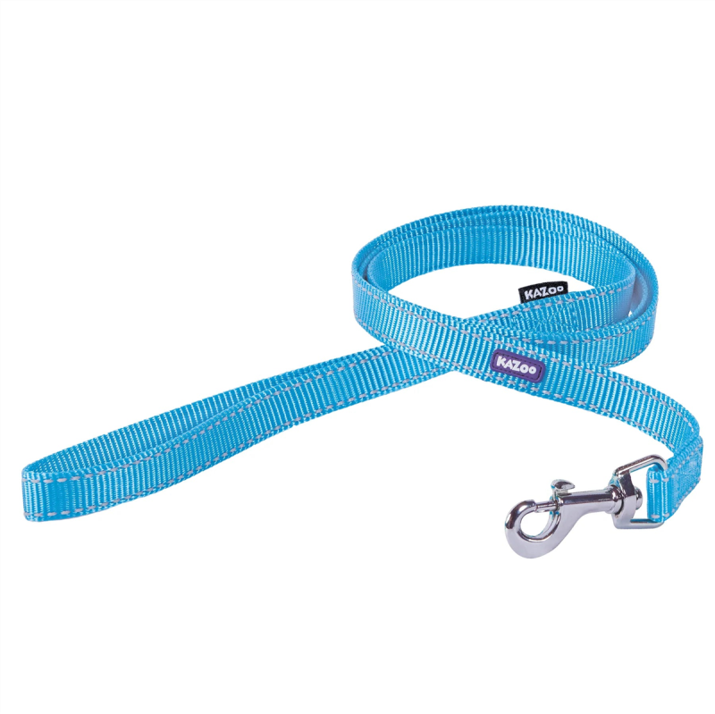 Kazoo Classic Dog Lead Aqua Thin