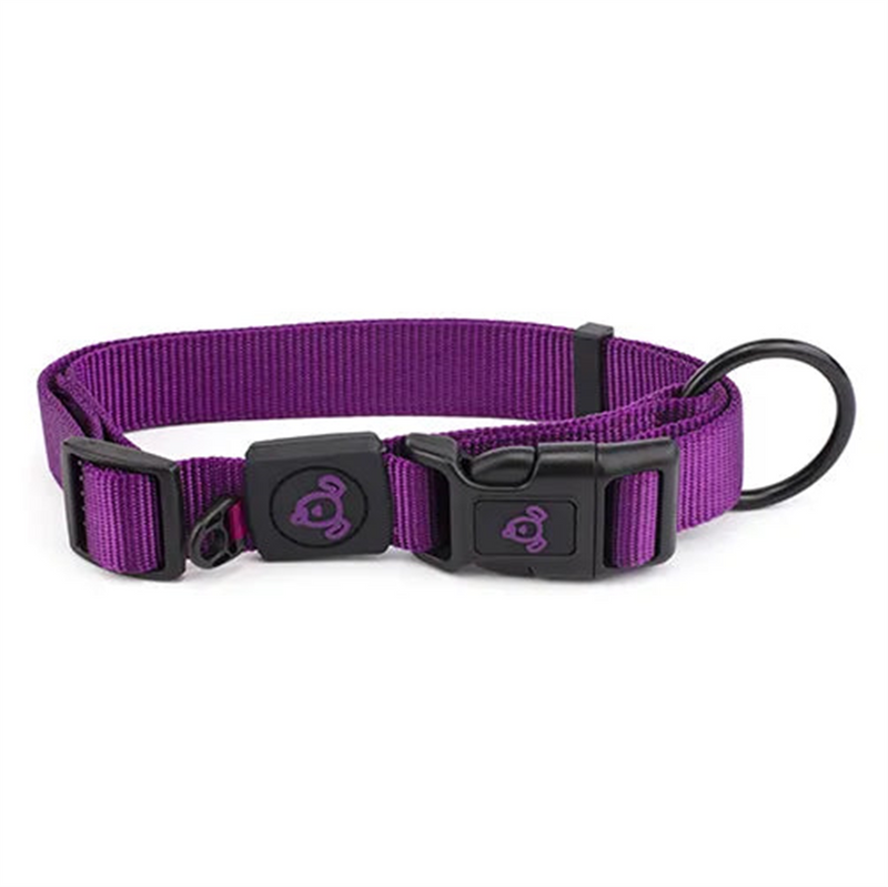 Bainbridge Nylon Dog Collar with Logo Purple