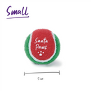 Kazoo Christmas Santa Paws Ball Dog Toy