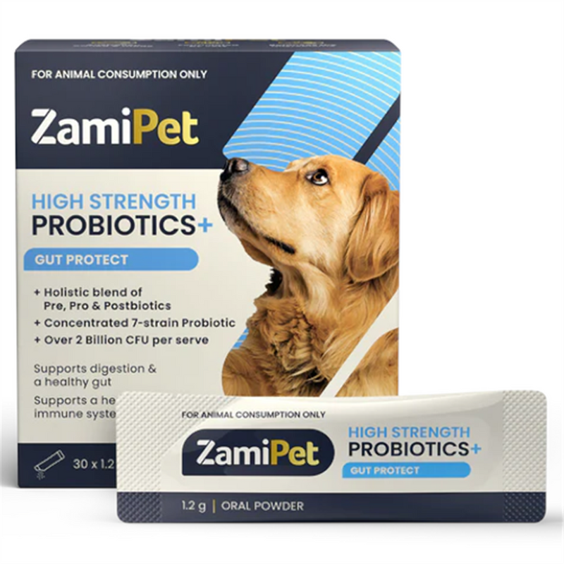 ZamiPet High Strength Probiotics+ Gut Protect for Dogs