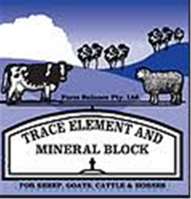 Farm Balance Trace Element & Mineral Block 18kg