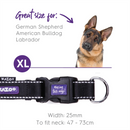 Kazoo Classic Easy-clip Dog Collar Black