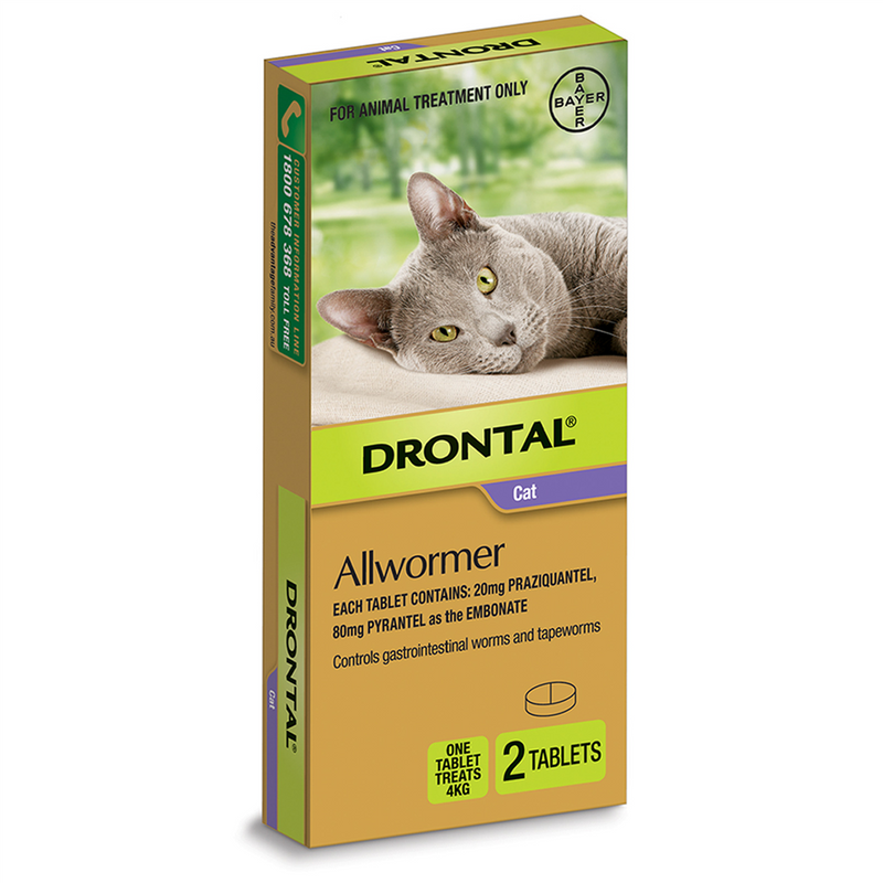 Bayer Drontal Allwormer Tablet for Cats up to 4kg