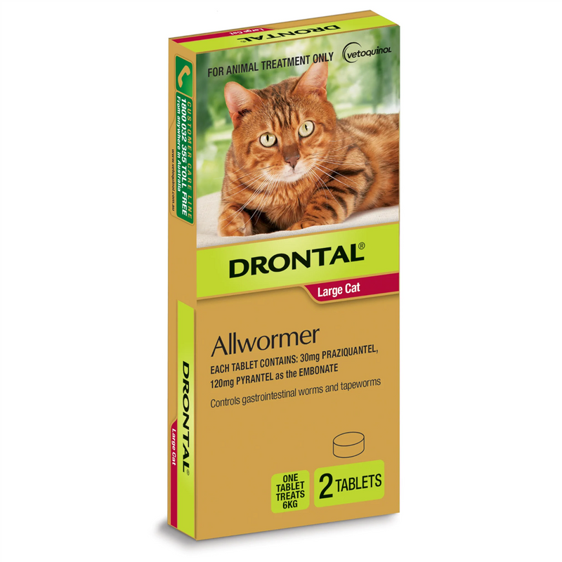 Bayer Drontal Allwormer Tablet for Large Cats (up to 6kg)