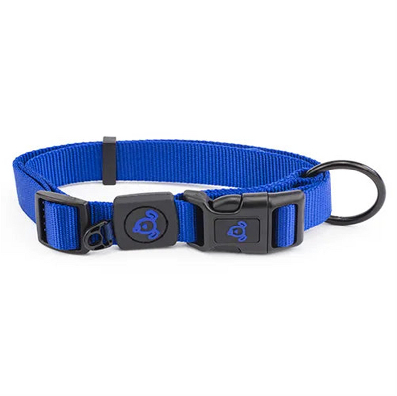 Bainbridge Nylon Dog Collar with Logo Blue
