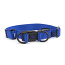 Bainbridge Nylon Double Dog Collar - Raymonds Warehouse