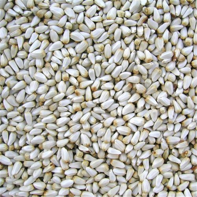 Safflower Seed 2kg