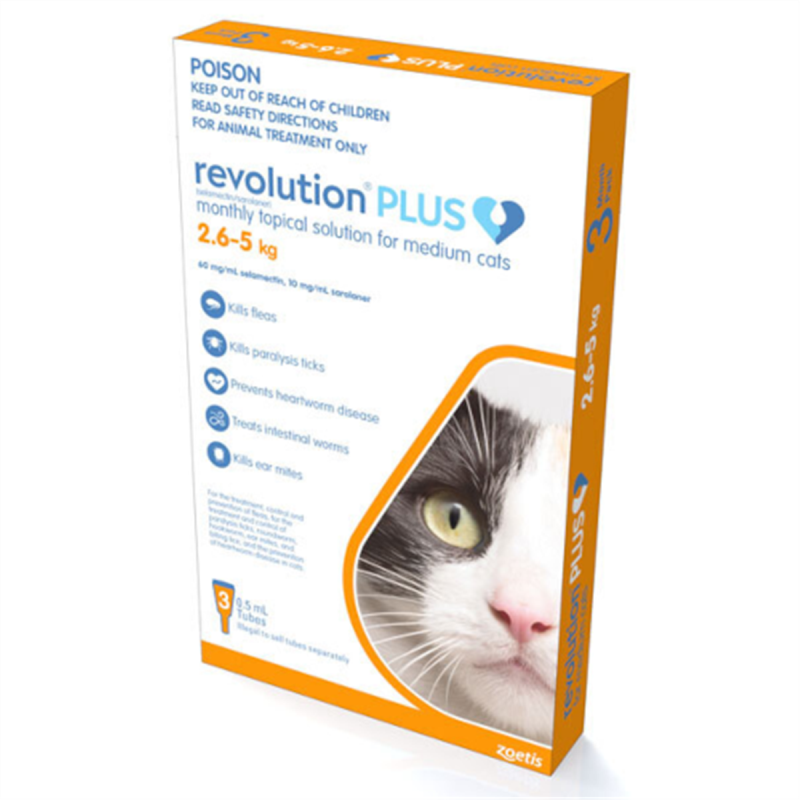 Revolution Plus for Medium Cats