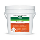 Stance Equitec Turmericle