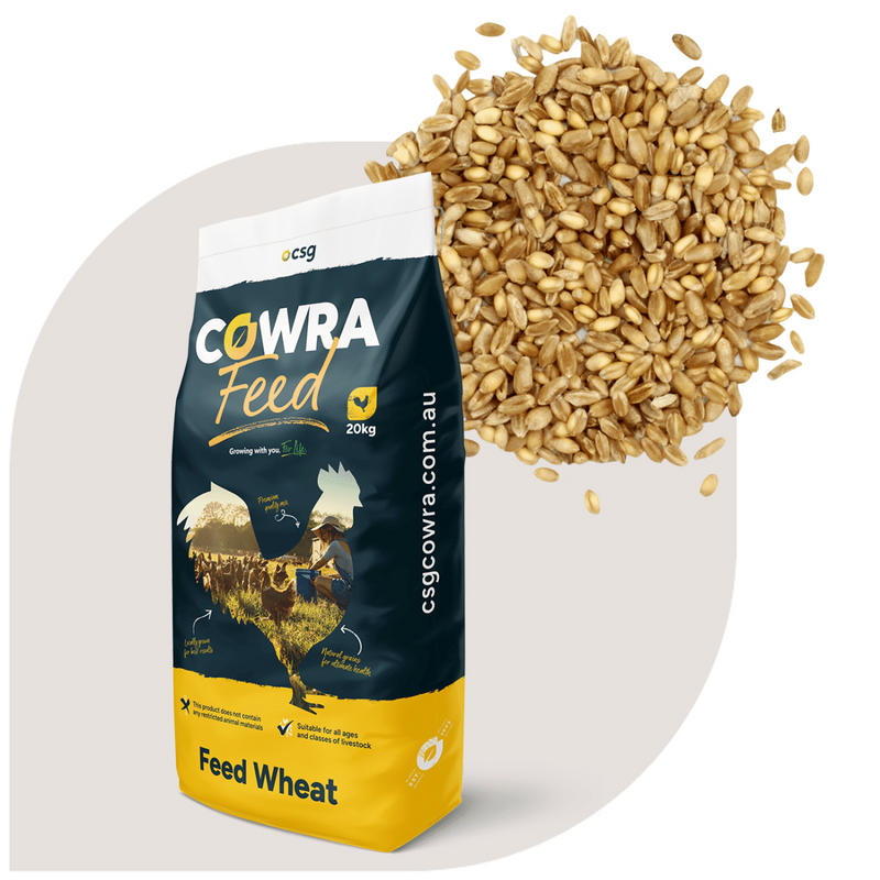 CSG Whole Wheat Feed 20kg