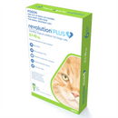 Revolution Plus for Large Cats
