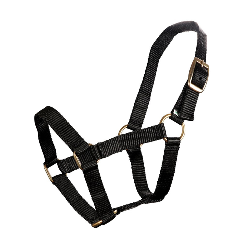 Piccolo Mini Horse Halter Black