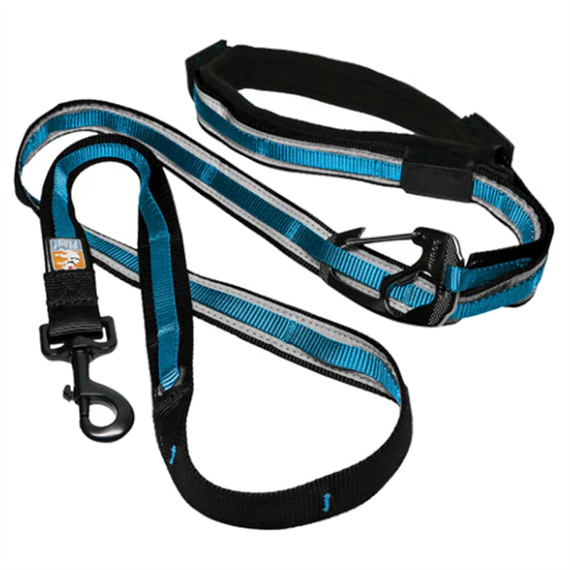 Kurgo Quantum Reflective Dog Lead Blue