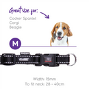 Kazoo Classic Easy-clip Dog Collar Black