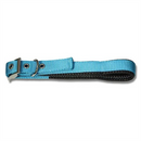Bainbridge Collar Dog Padded Assorted Colours - Raymonds Warehouse