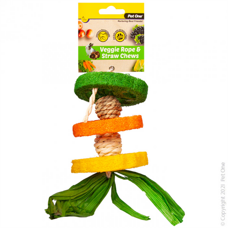 Pet One Veggie Rope and Straw Chews