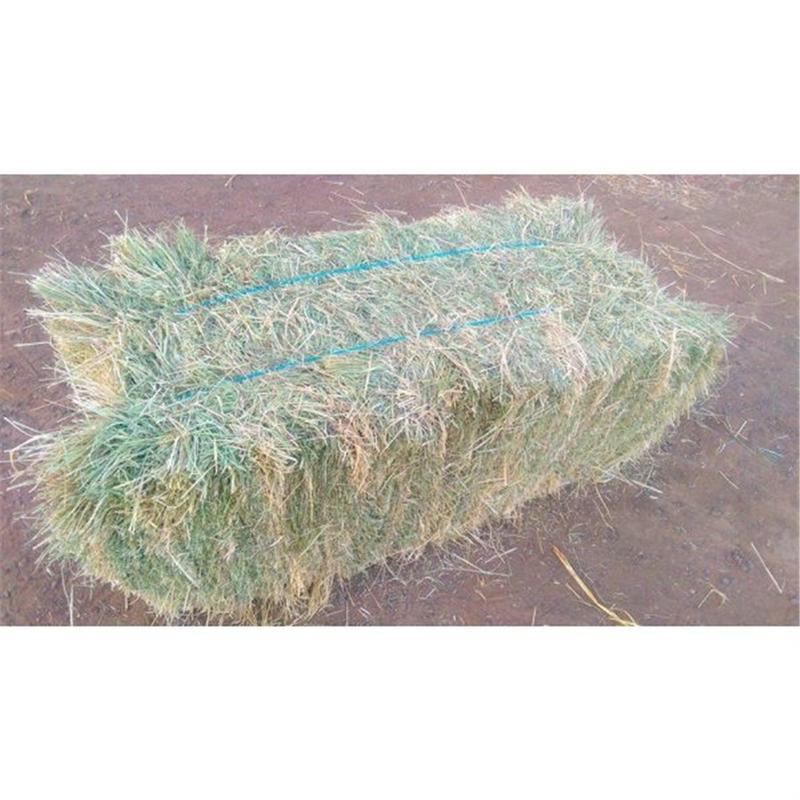 Hay Teff Grass Cowra Bale