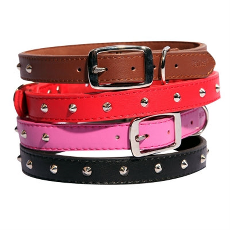 Pet One Single Row Studded Leather Collar