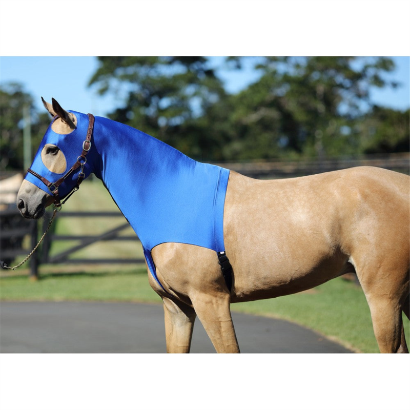 Horsemaster Lycra Full Hood with Zip